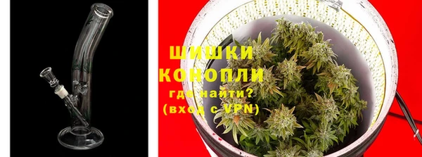 PSILOCYBIN Арсеньев